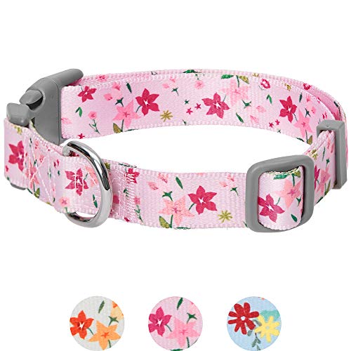 Umi. by Amazon - Made Well - Collar para perros con estampado de flores L, cuello 45-66 cm, collares ajustables para perros (rosa)