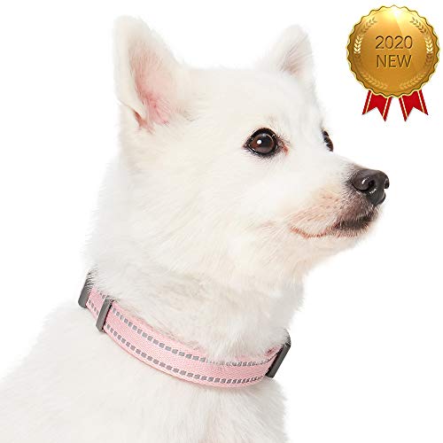 Umi. by Amazon - Pastel - Collar para perros M, cuello 37-50 cm, collares ajustables para perros (rosa bebé)