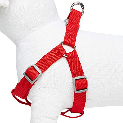 Umi. Essential Classic - Arnés para perros M, contorno del pecho 51-66 cm, arneses ajustables para perros (rojo)