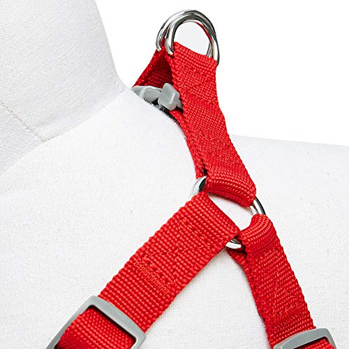 Umi. Essential Classic - Arnés para perros M, contorno del pecho 51-66 cm, arneses ajustables para perros (rojo)