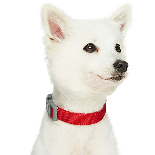 Umi. Essential Classic - Collar para perros L, cuello 45-66 cm, collares ajustables para perros (rojo)