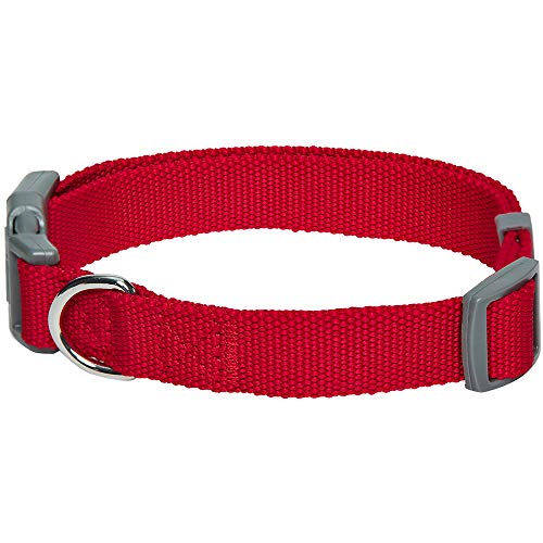 Umi. Essential Classic - Collar para perros L, cuello 45-66 cm, collares ajustables para perros (rojo)