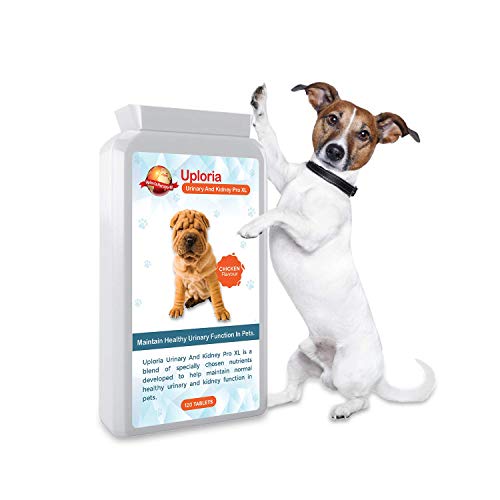 Uploria Pet World Antibióticos para ITU para Perros Y Gatos Apoyo Urinario Y Renal Diario para La Salud del TU En Gatos