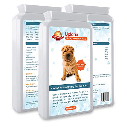 Uploria Pet World Antibióticos para ITU para Perros Y Gatos Apoyo Urinario Y Renal Diario para La Salud del TU En Gatos