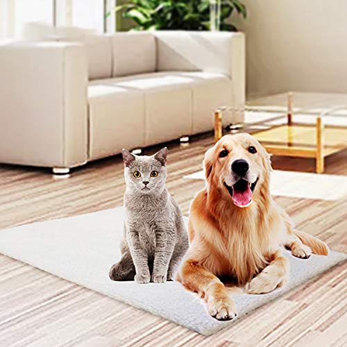 Vawal Manta Térmica para Gatos y Perros, Alfombra de Cama para Mascotas Lavable, Cama para Perro, Manta para Perros Gatos Conejos y Otras Mascotas, 50 X 70 cm