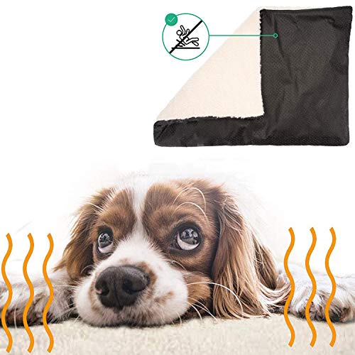 Vawal Manta Térmica para Gatos y Perros, Alfombra de Cama para Mascotas Lavable, Cama para Perro, Manta para Perros Gatos Conejos y Otras Mascotas, 50 X 70 cm