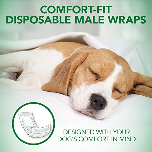 Vet's Best Comfort Fit Disposable Male Dog Diapers | Envolturas masculinas absorbentes con ajuste a prueba de fugas | Pequeño 12Pk