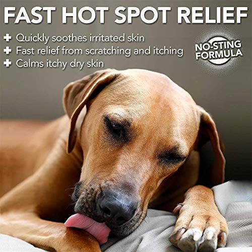 Vet's Best Punto Caliente para Perros Itch Relief Spray | Alivia la Piel Seca del Perro, Rash, Scratching, lamiendo, picazón en la Piel y Puntos Calientes. Sin eslop y sin Alcohol, 235ml