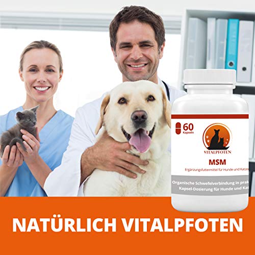 Vitalpfoten MSM Cápsulas para Perros y Gatos 60 Pieza complemento Forro Medio Pures MSM - Suave dosificación, Alta pureza y Calidad, fabricación en Alemania