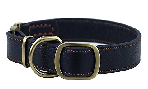 Vivi Bear Ajustable Durable Mejores Perros de Cuero Genuino Collar para Perros de Grandes Perros de tamaño Mediano, Longitud Ajustable de 13 Pulgadas a 20 Pulgadas, 1 Pulgada de Ancho (Negro)