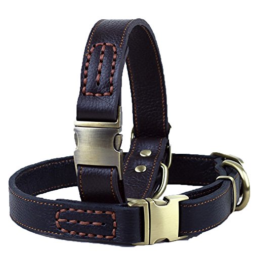 Vivi Bear Ajustable Durable Mejores Perros de Cuero Genuino Collar para Perros de Grandes Perros de tamaño Mediano, Longitud Ajustable de 13 Pulgadas a 20 Pulgadas, 1 Pulgada de Ancho (Negro)