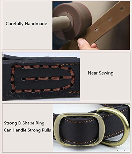 Vivi Bear Ajustable Durable Mejores Perros de Cuero Genuino Collar para Perros de Grandes Perros de tamaño Mediano, Longitud Ajustable de 13 Pulgadas a 20 Pulgadas, 1 Pulgada de Ancho (Negro)