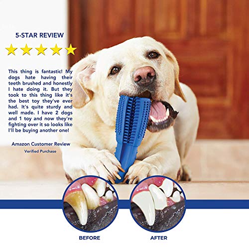 Vivi Bear - Juguete para Perros, Juguete de Dientes para Perros, Limpiador de Caucho Natural Duradero