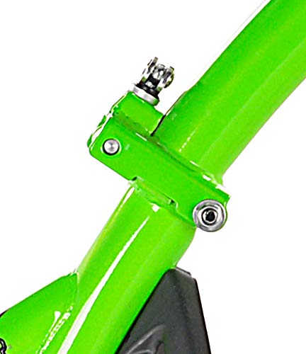 WeeRide 86457 Bicicleta Remolque Copilot, Niños, Verde, M