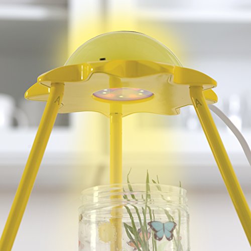 West Design Creativity for Kids Junior Selection-Kit de luz para Crecimiento, Multicolor (6118000)