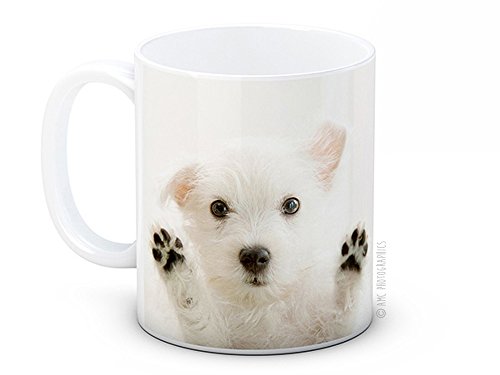 West Highland Terrier blanco de perro cachorro - Westy café de alta calidad taza de té