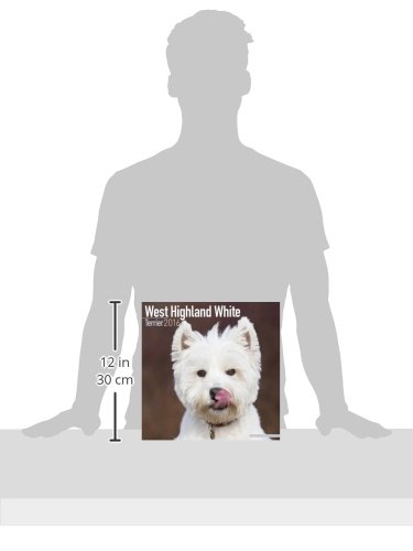 West Highland Terrier Calendar 2016 (Square)