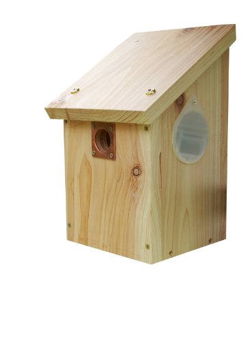 Wildlife World CRNB - Caja Nido para pájaros