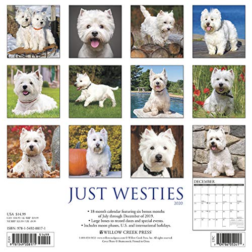 Willow Creek Press: Just Westies 2020 Wall Calendar (Dog Bre