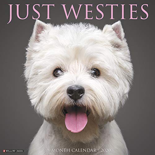 Willow Creek Press: Just Westies 2020 Wall Calendar (Dog Bre