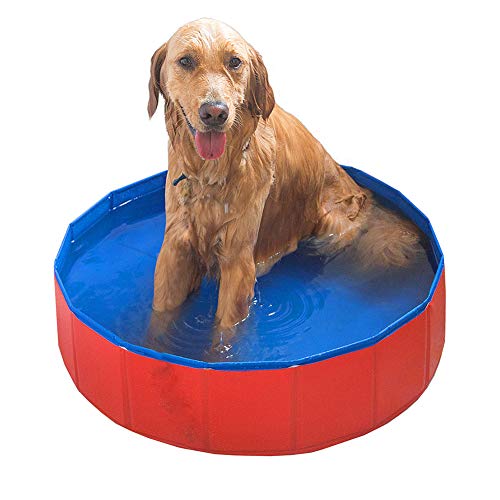 WLDOCA Perros Plegables Gatos Piscina para Niños Cachorro Natación Bañera, Azul + Rojo,L