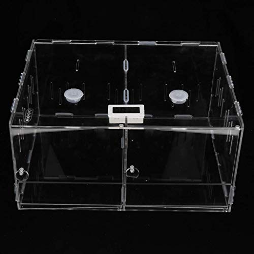 Wmchiwan Mascotapara Gato Perro Living Box Reptile Terrarium Breeding Box Hábitat for Scorpion Spider Lizard - Caja de Doble almacén Mascotapara Gato Perro