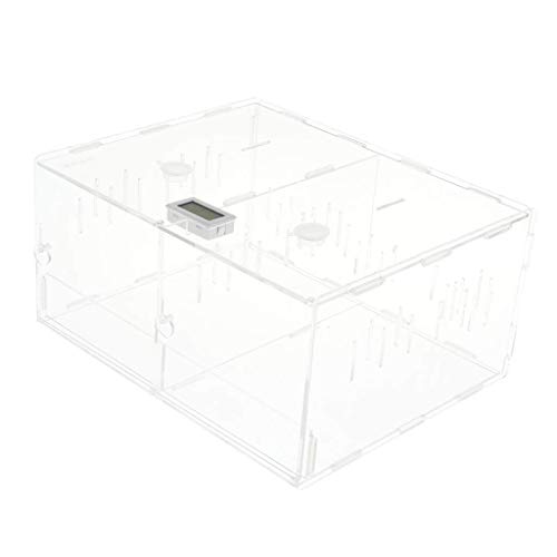 Wmchiwan Mascotapara Gato Perro Living Box Reptile Terrarium Breeding Box Hábitat for Scorpion Spider Lizard - Caja de Doble almacén Mascotapara Gato Perro