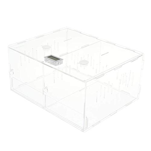 Wmchiwan Mascotapara Gato Perro Living Box Reptile Terrarium Breeding Box Hábitat for Scorpion Spider Lizard - Caja de Doble almacén Mascotapara Gato Perro