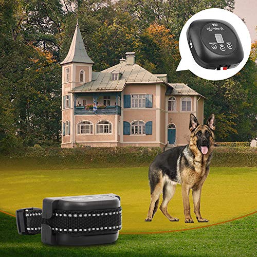 Wodondog Sistema de Valla para Perros Cerca Eléctrica para Perros, Sistema Anti-Escape, Cable de 300 m