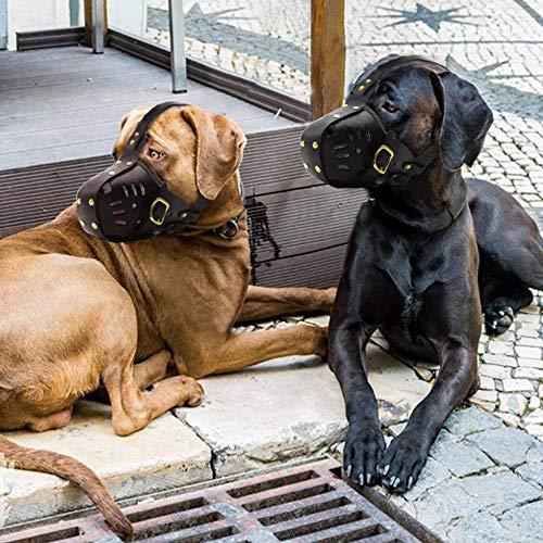 WXJHA Bozal para Perro, Boca Grande para Perro, máscara de Rottweiler de Cuero de Viento Punk, Ajustable, Jaula de mordida prohibida, Evitar morder y Comer