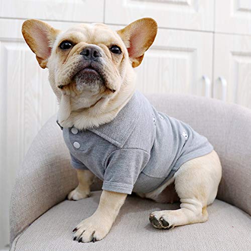 WXPC Primavera y otoño Ropa para Mascotas Marea Marca Perro Guapo Gato Camisa Polo Chaleco de la Ley Ley Teddy Corgi Gris, XL