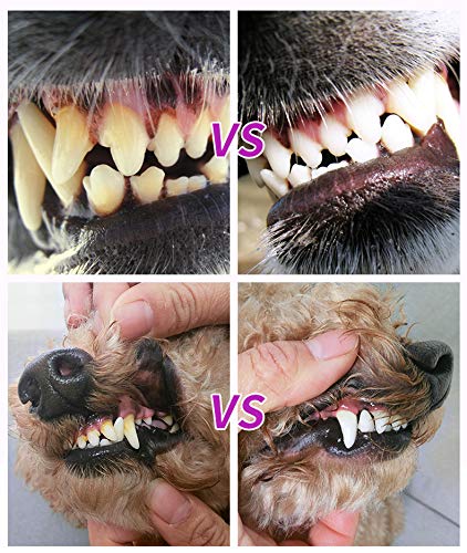 XQXC Kit De Limpieza De Dientes De Mascotas, Pluma De Limpieza De Dientes De Gatos y Perros, Elimine Eficazmente El Mal Aliento del Sarro De Los Perros, Gel De Cuidado Bucal para Mascotas Domésticas