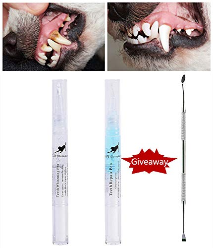 XQXC Kit De Limpieza De Dientes De Mascotas, Pluma De Limpieza De Dientes De Gatos y Perros, Elimine Eficazmente El Mal Aliento del Sarro De Los Perros, Gel De Cuidado Bucal para Mascotas Domésticas