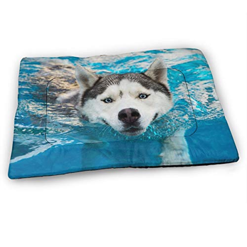 XUJT11O Husky Ocean - Alfombrilla antideslizante para cama de perro, disponible en varios estilos