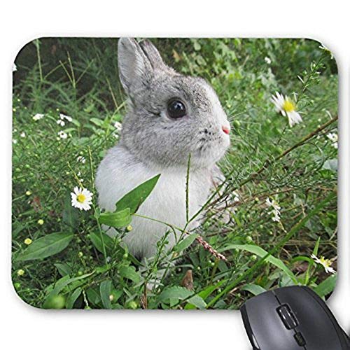 Yanteng Alfombrilla de ráton del Juego mousemat Conejo Precioso Mousepad Serie Conejito de la Margarita Alfombrilla De Ratón Conejo de Conejito Alfombrilla De Ratón Rectángulo Alfombrillas De Raton