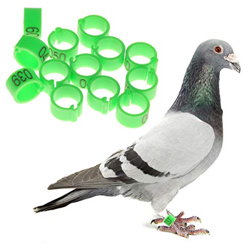 Yardwe 100 Piezas Anillo del Pie del Pájaro Aves Número Loro Anillos De Pata De Palomas Bandas para Identificación Corral Codorniz Pinzón Canario Escotilla 8 mm (Verde)