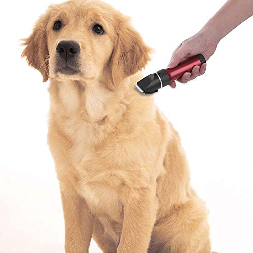 YLEI Cortapelos para Perro y Gato, Precisión Cortapelos Bajo Ruido y Vibración, Carga USB Cortapelos para Mascotas, Animales Trimmer Clippers