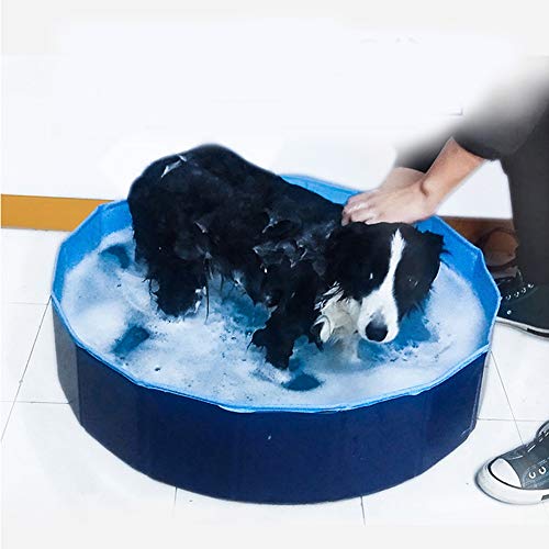 YQQY Piscina para Perros El Verano Plegable PVC Mascota Piscina NiñOs Piscina Infantil PortáTil Mascota La Belleza BañEra De Perro Plato De Ducha 80 * 20Cm