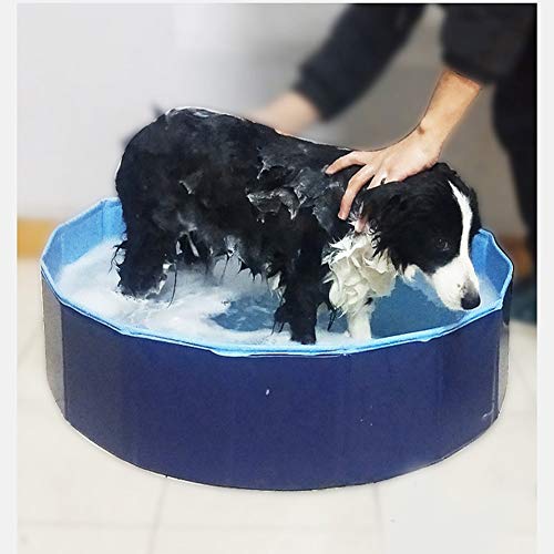 YQQY Piscina para Perros El Verano Plegable PVC Mascota Piscina NiñOs Piscina Infantil PortáTil Mascota La Belleza BañEra De Perro Plato De Ducha 80 * 20Cm