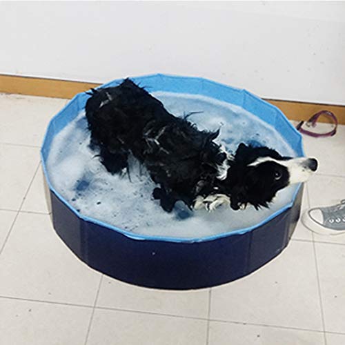 YQQY Piscina para Perros El Verano Plegable PVC Mascota Piscina NiñOs Piscina Infantil PortáTil Mascota La Belleza BañEra De Perro Plato De Ducha 80 * 20Cm