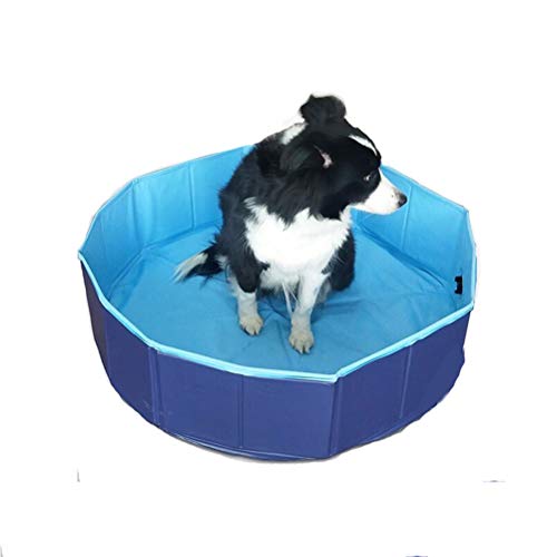 YQQY Piscina para Perros El Verano Plegable PVC Mascota Piscina NiñOs Piscina Infantil PortáTil Mascota La Belleza BañEra De Perro Plato De Ducha 80 * 20Cm