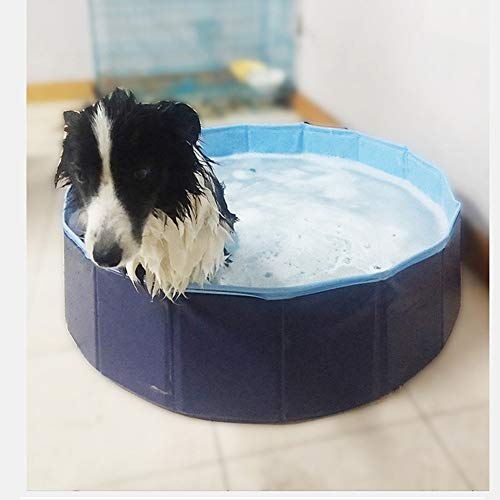 YQQY Piscina para Perros El Verano Plegable PVC Mascota Piscina NiñOs Piscina Infantil PortáTil Mascota La Belleza BañEra De Perro Plato De Ducha 80 * 20Cm