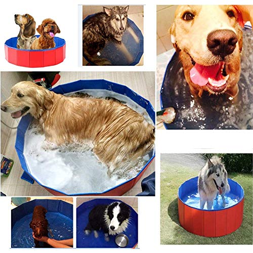 YSYDE - Piscina Plegable para Perros, Cachorros, Gatos, bañadores, Mascotas, niños, Pelotas, estanques de Agua, Esta Piscina Acolchada está Hecha de Material de PVC de Calidad fácil de Plegar