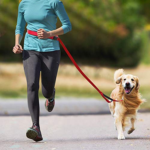 YXDZ Correa De Nailon Multifuncional para Perros Pequeños, Medianos Y Grandes, Correa De Tracción Ajustable Entrenamiento De Mascotas para Caminar