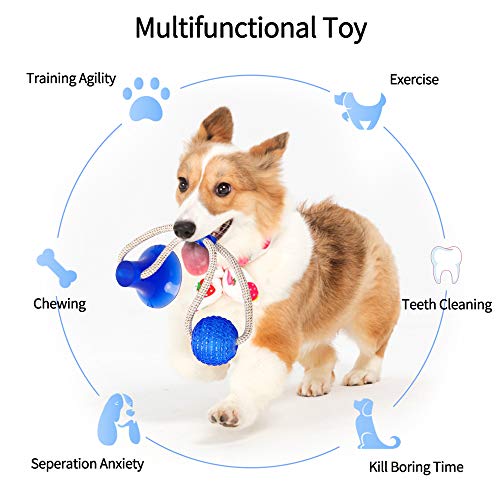 YYMMLLF Pet Molar Bite Toy Multifunción Pet Molar Bite Dog Toys Goma Chew Ball Limpieza de Dientes Elasticidad Segura TPR Soft Puppy Ventosa Mordida Juguete para Perro