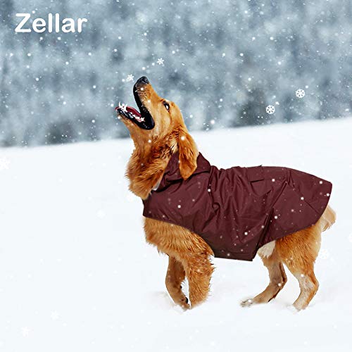 Zellar Impermeable para Perros con Capucha y Collar Agujero y Tiras reflectoras seguras, Ultra-Light Transpirable Impermeable 100% Chaqueta para Lluvia medianos Perro de Raza Grande