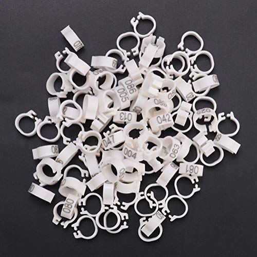 Zerodis Lote de 100 Anillos para Patas de Aves de Corral de 8 mm para Palomas Anillos de Aves Anillos de Muslo de Aves de Corral Etiquetas para Palomas(Blanco)