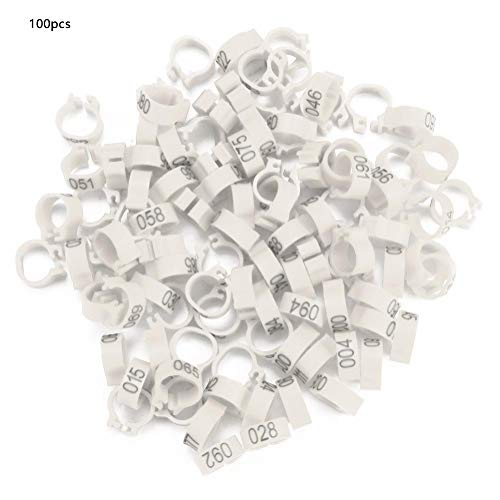 Zerodis Lote de 100 Anillos para Patas de Aves de Corral de 8 mm para Palomas Anillos de Aves Anillos de Muslo de Aves de Corral Etiquetas para Palomas(Blanco)