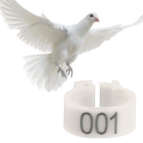 Zerodis Lote de 100 Anillos para Patas de Aves de Corral de 8 mm para Palomas Anillos de Aves Anillos de Muslo de Aves de Corral Etiquetas para Palomas(Blanco)