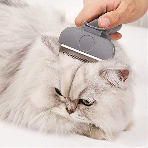 ZGRZ Perros Gatos Cepillo Cepillo para Mascotas Cepillo para Perros Cepillo para Gatos Peine para Perros Satos Cepillo De Belleza para Mascotas Peines Elimina El Cabello Peine para El Cabello